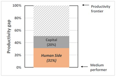 Influencia del capital y del factor humano en la productividad